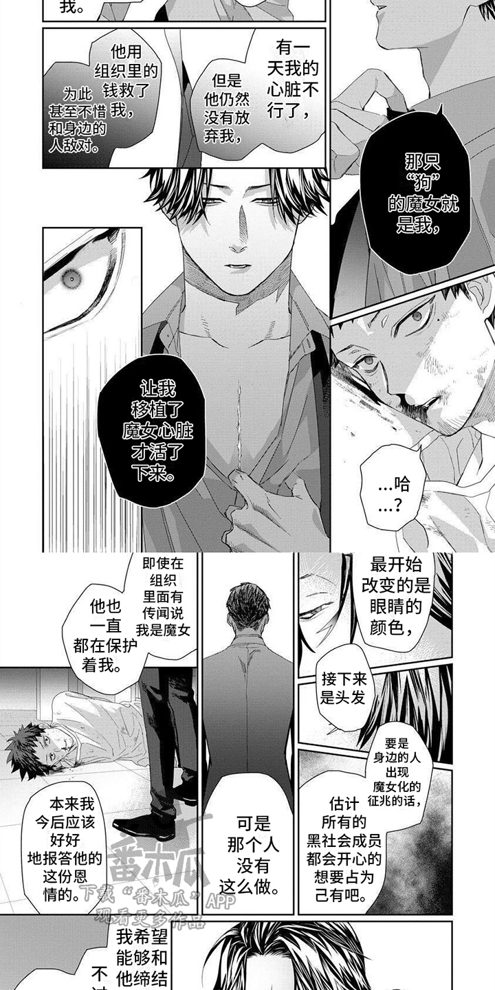 魔女的复仇之夜汉化版下载电脑漫画,第16章：内幕2图