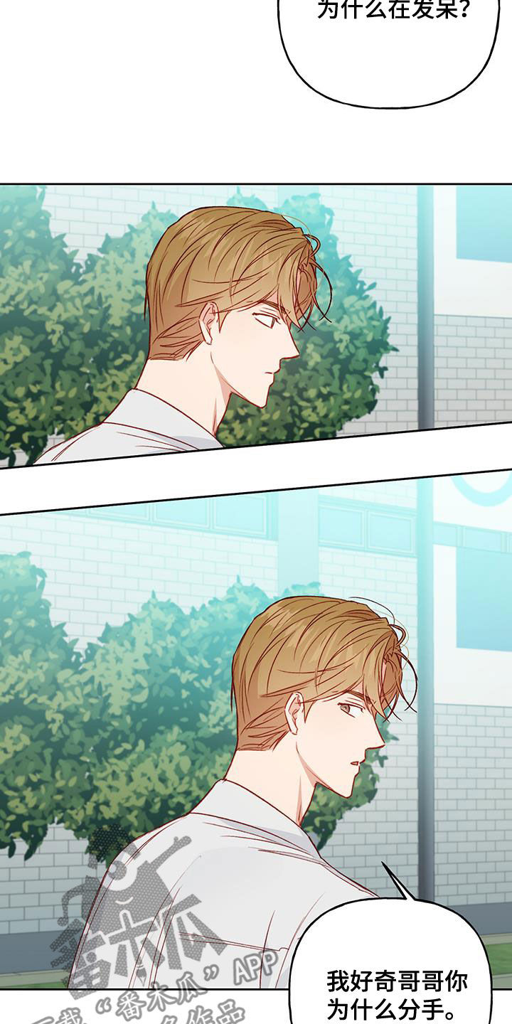 兜帽陷阱漫画,第46章：好奇2图