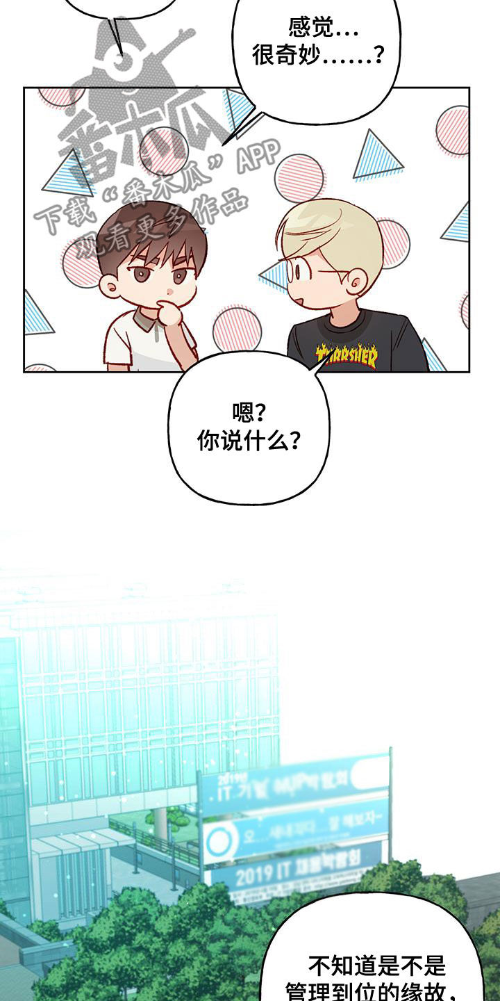 兜帽风衣漫画,第46章：好奇2图