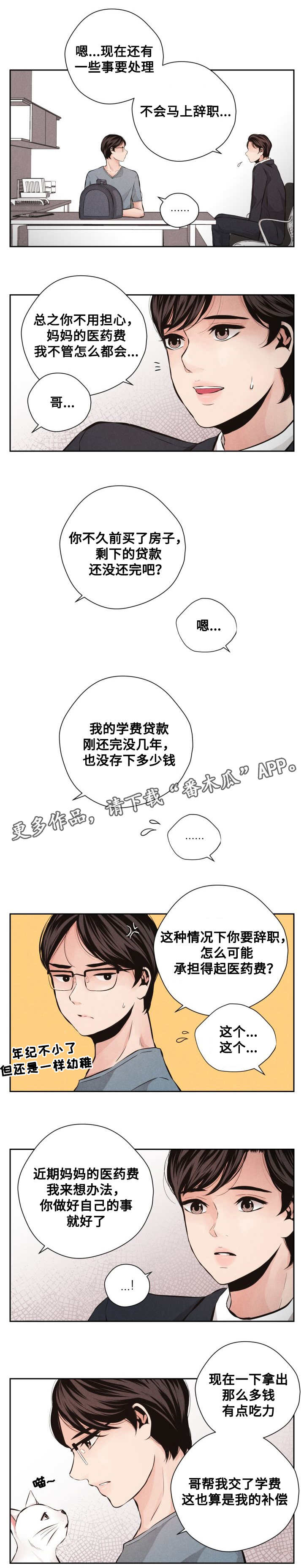 想你的季节 雪花最懂MV漫画,第62章：平凡的生活1图