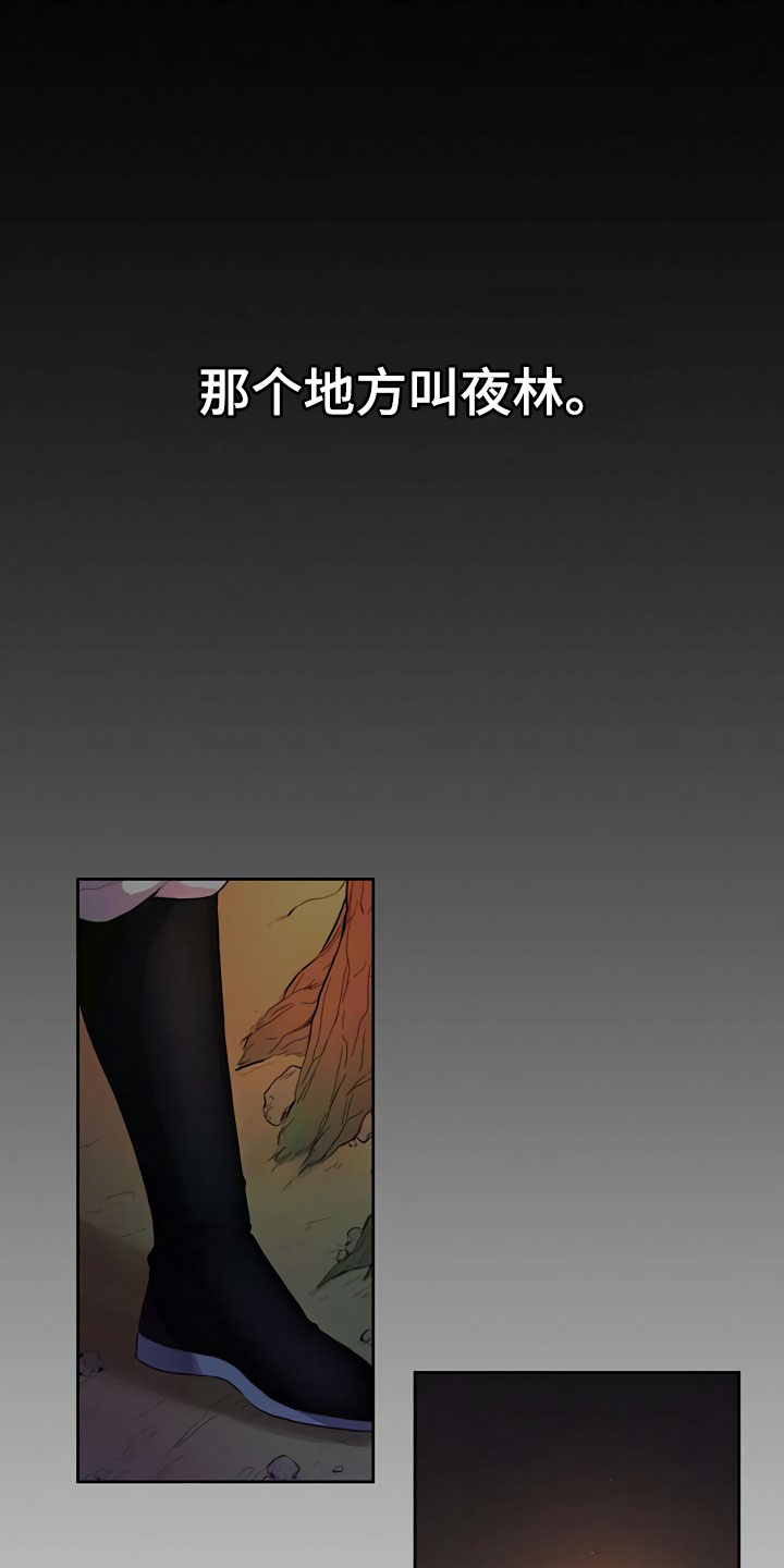 夜林秘史又叫什么漫画,第1章：夜林1图