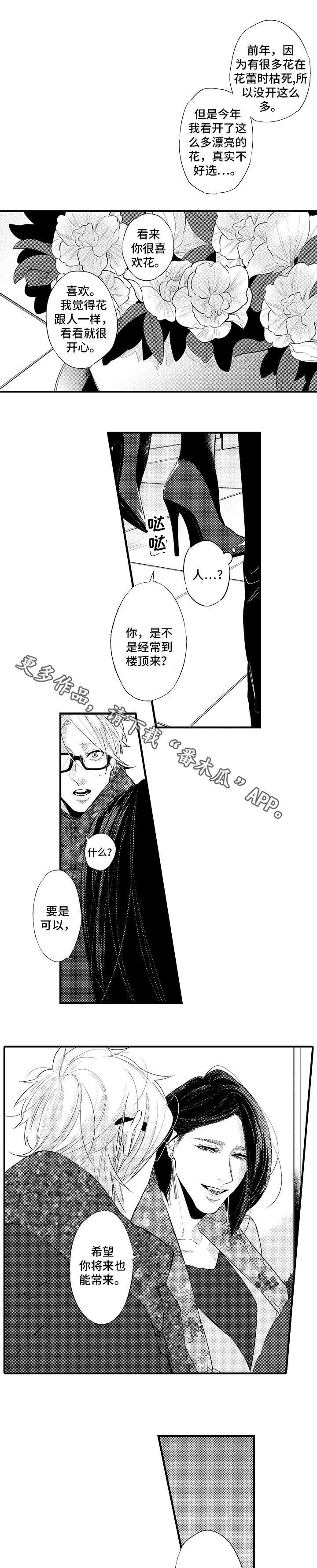花香信息素漫画,第19章：礼物2图