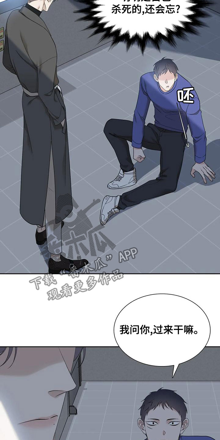 狂徒后爱黄弼见头像漫画,第43章：鳄鱼2图