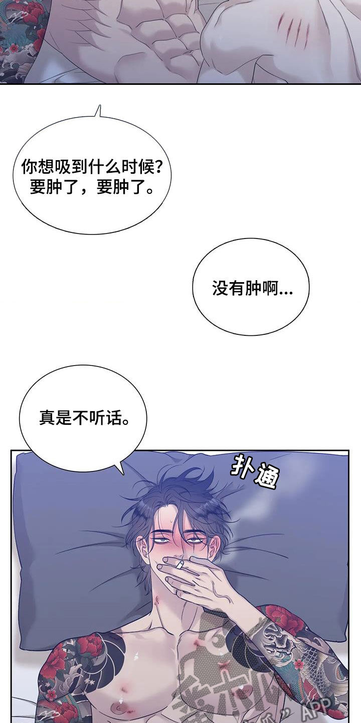 狂徒后爱樱花动漫漫画,第51章：没法再继续了1图