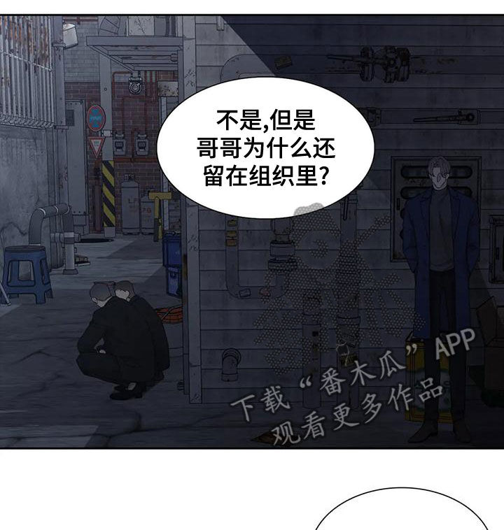 狂徒后爱2漫画,第40章：没有天赋1图