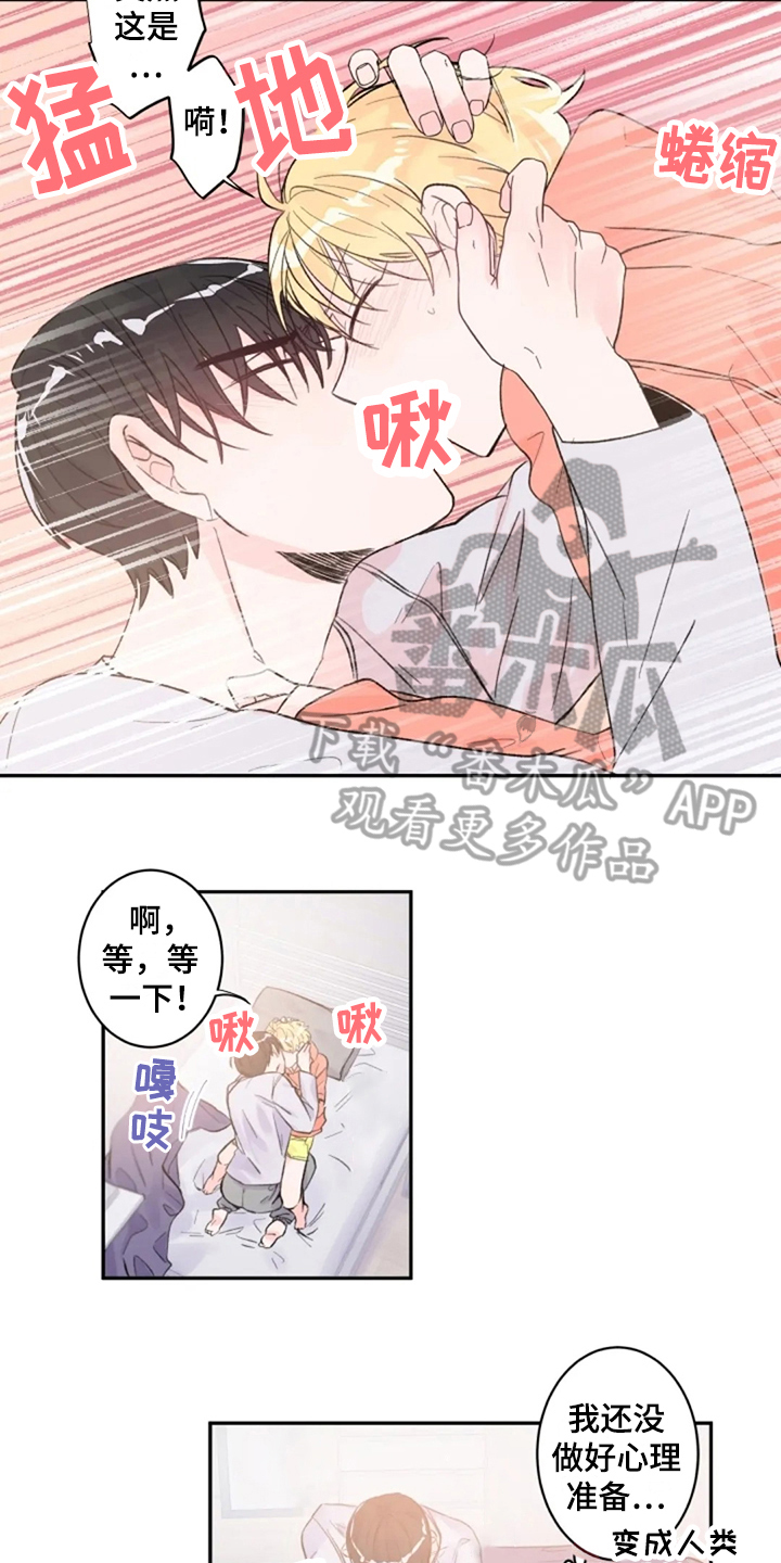 等待夜晚漫画,第11章：实感1图