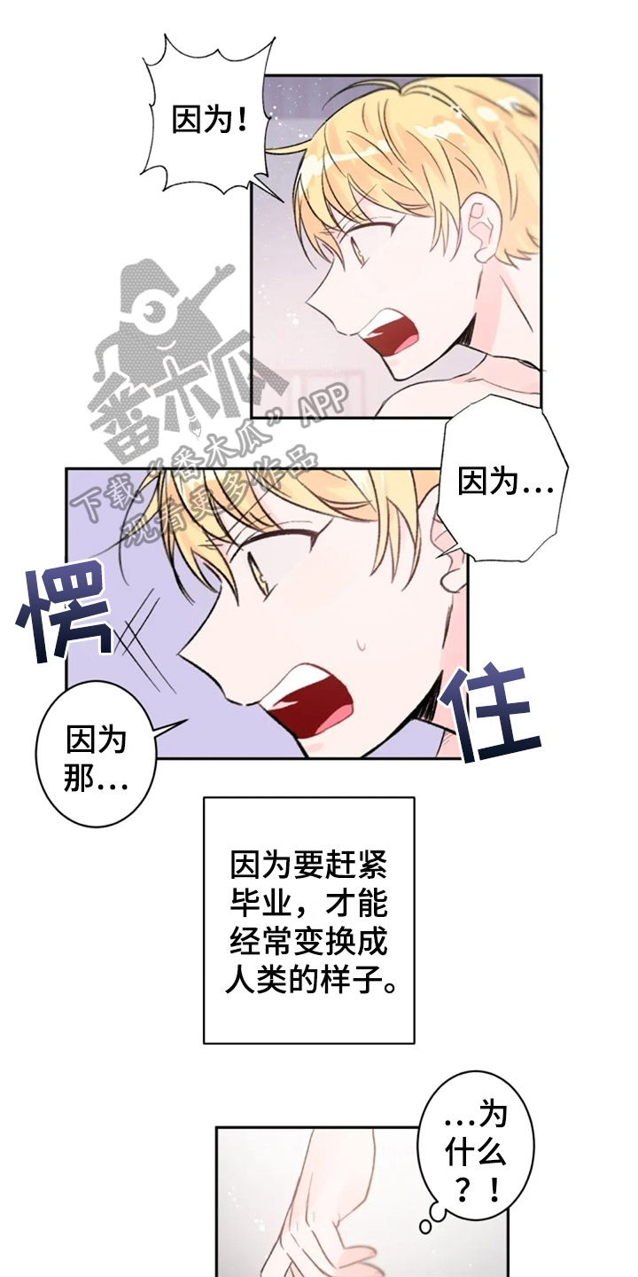 等待夜晚漫画,第10章：惊讶1图