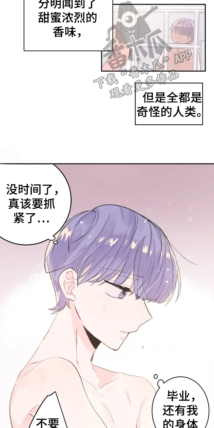 等待夜晚漫画,第17章：猎物1图