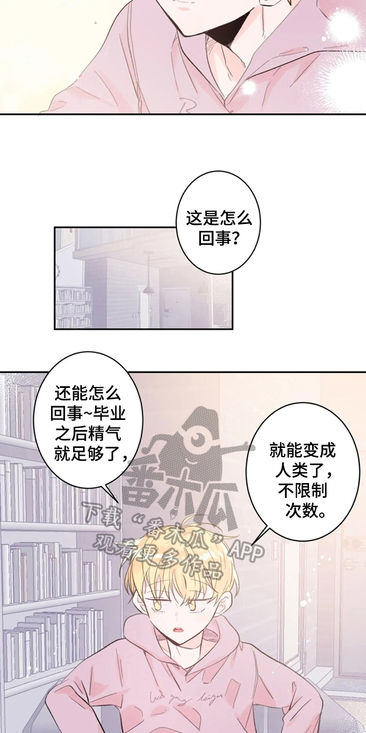 等待夜晚漫画,第14章：回来了2图