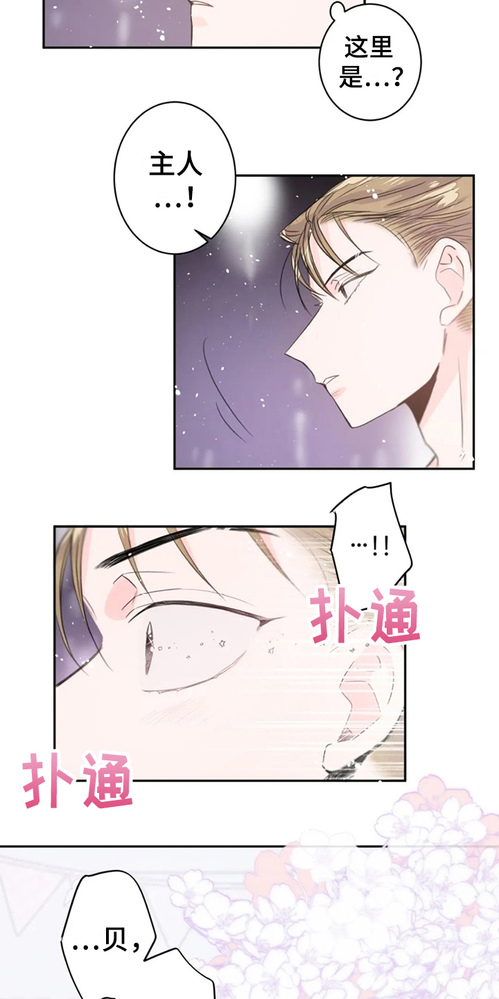 等待夜晚漫画,第22章：寻找1图