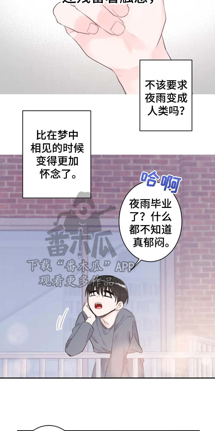 等待夜晚漫画,第14章：回来了2图