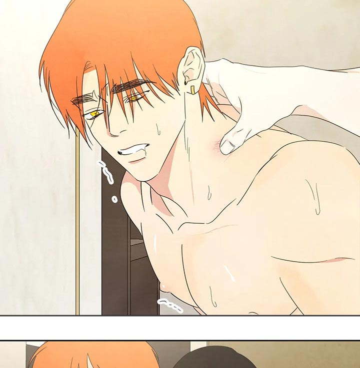 喜欢特鲁姆普的人多吗漫画,第48章：过分1图