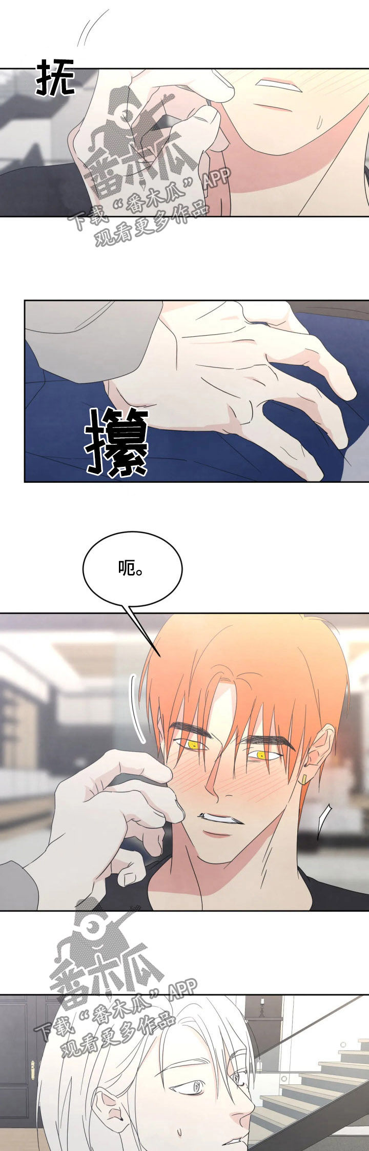 喜欢特鲁姆普的人多吗漫画,第36章：物归原主2图