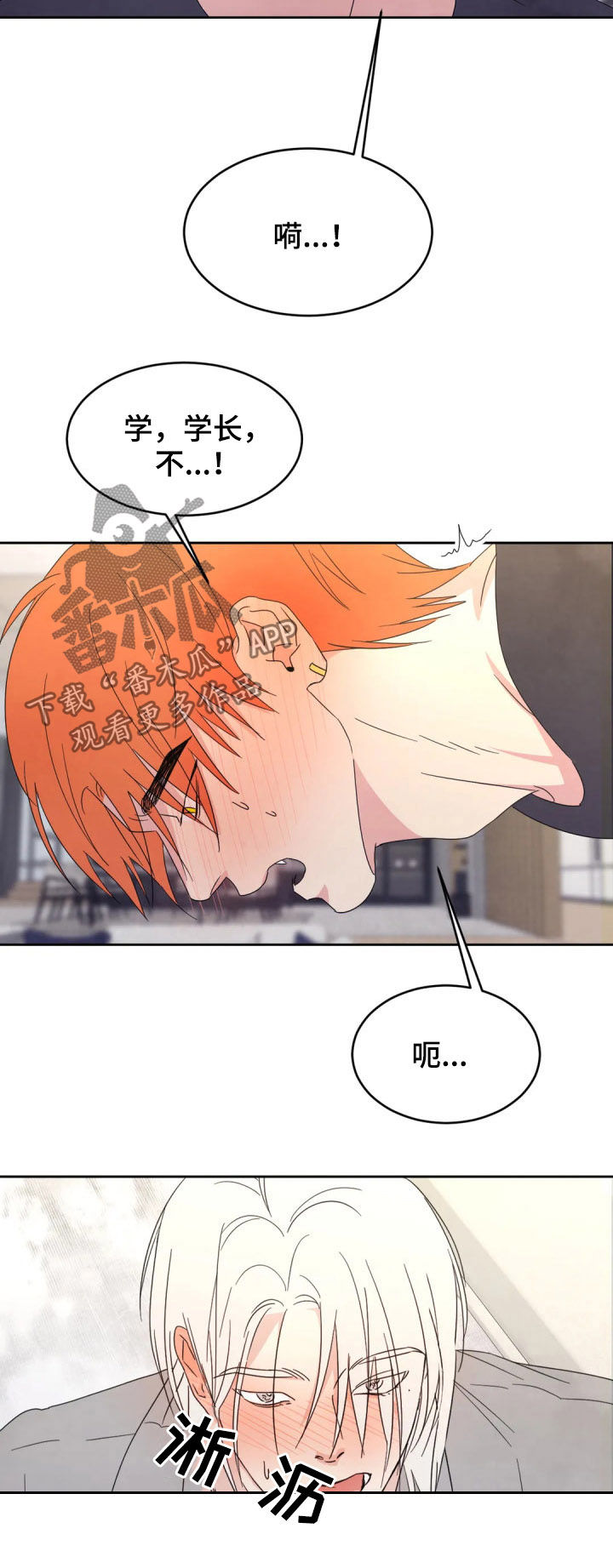 喜欢特鲁姆普的人多吗漫画,第36章：物归原主2图