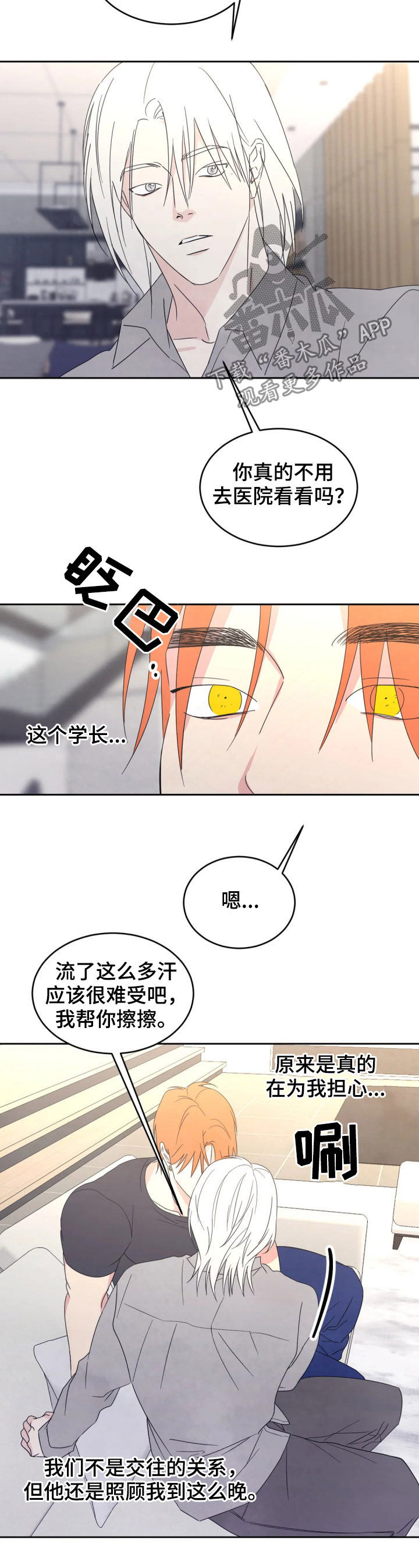喜欢特鲁姆普的人多吗漫画,第36章：物归原主1图
