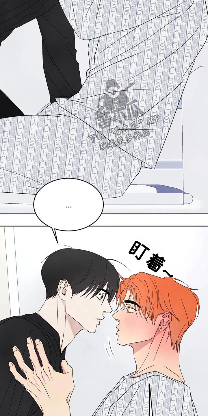 喜欢特别的他漫画,第181章：【第二季】协商2图