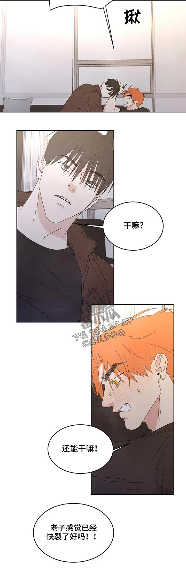 喜欢特鲁姆普的人多吗漫画,第43章：强行2图