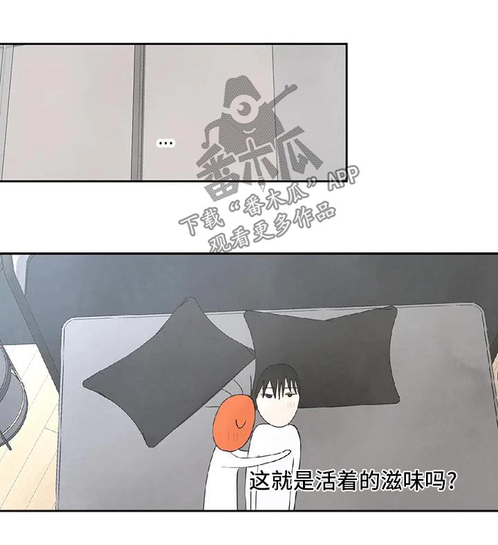 喜欢特鲁姆普的人多吗漫画,第189章：【第二季】本来就是2图