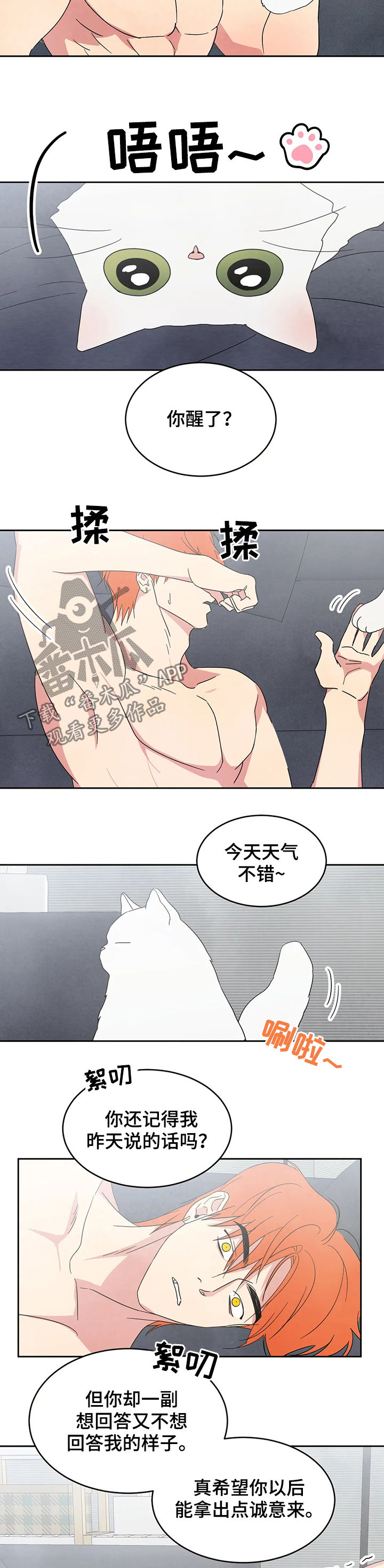 喜欢特鲁姆普的人多吗漫画,第25章：坦诚一点2图