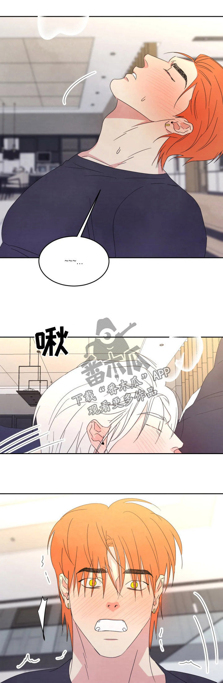 喜欢特鲁姆普的人多吗漫画,第36章：物归原主1图