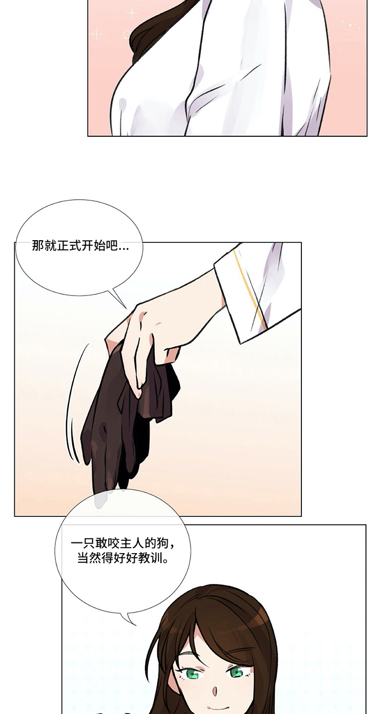 医生私人印章菱形漫画,第6章：准备1图