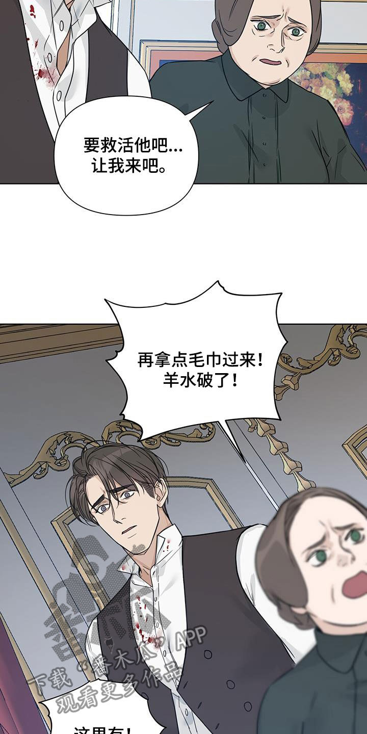 玫瑰庄园全景漫画,第48章：双胞胎1图
