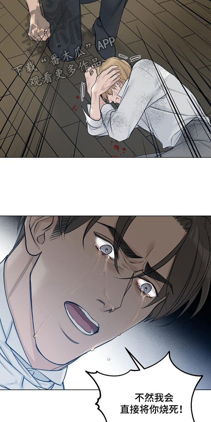 玫瑰庄园户型图漫画,第39章：再怀孕1图