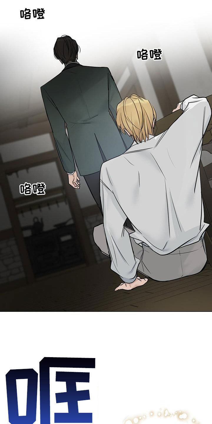 玫瑰庄园小说伯爵结局免费阅读全文漫画,第37章：哭不出来1图
