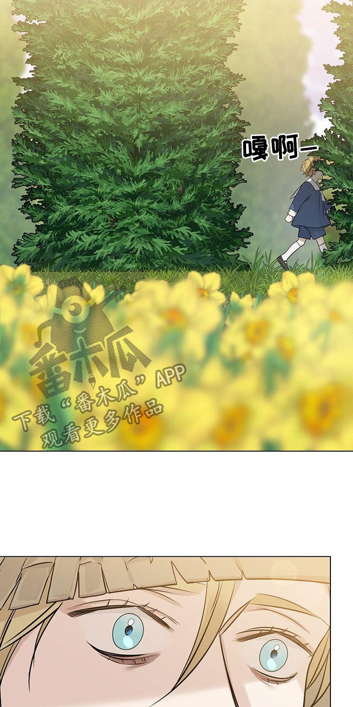 玫瑰庄园户型图漫画,第38章：相见1图