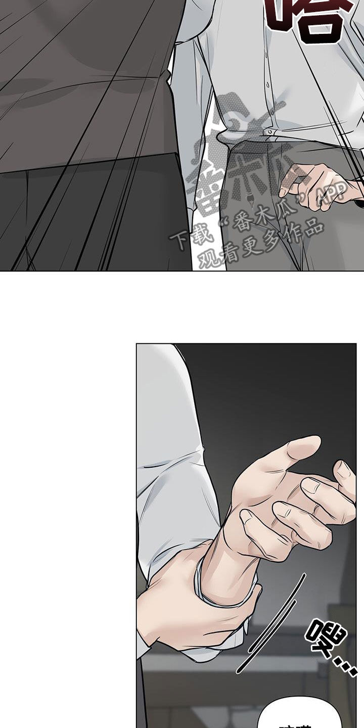 玫瑰庄园全景漫画,第39章：再怀孕2图
