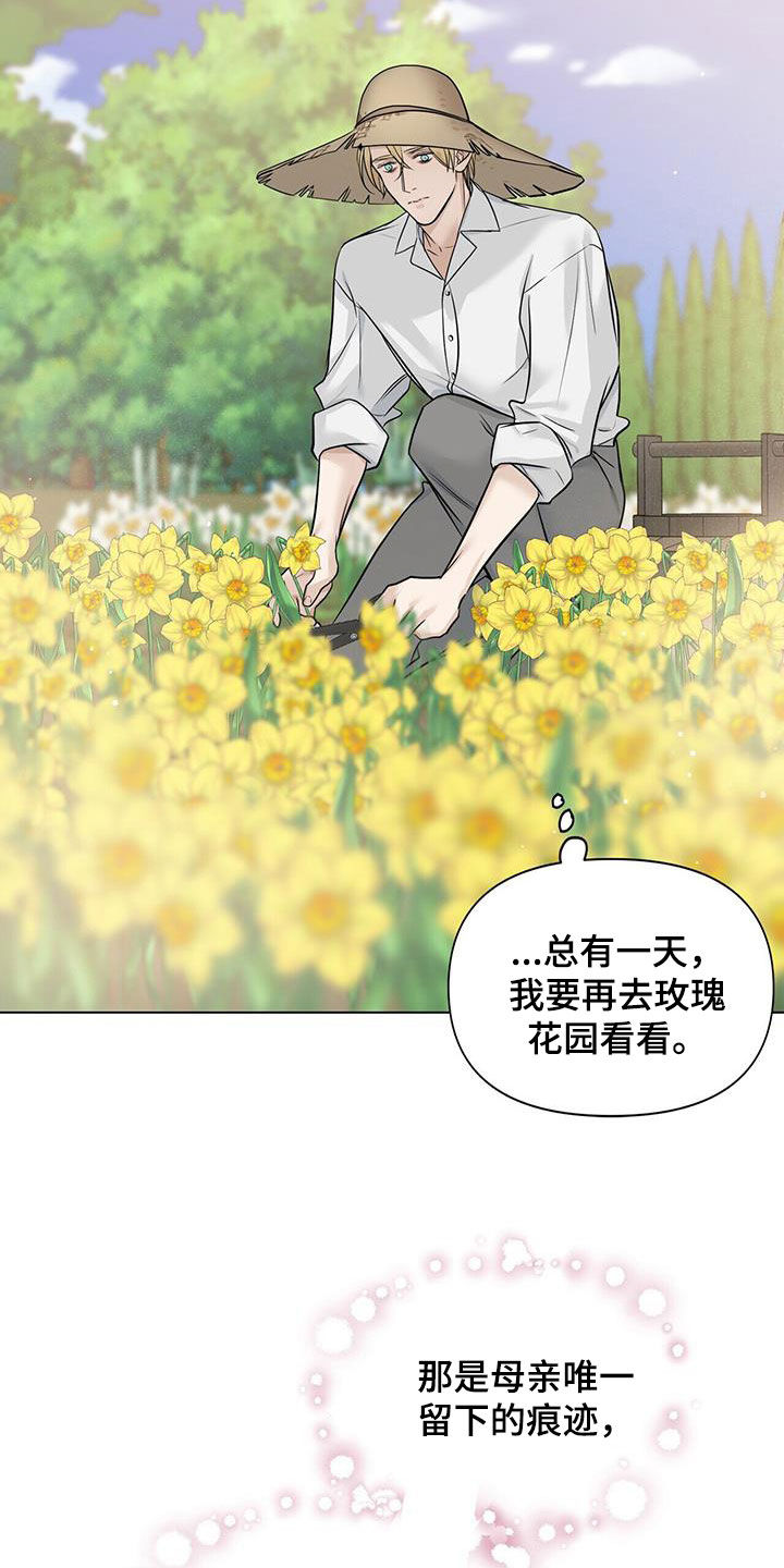 玫瑰庄园全景漫画,第38章：相见2图