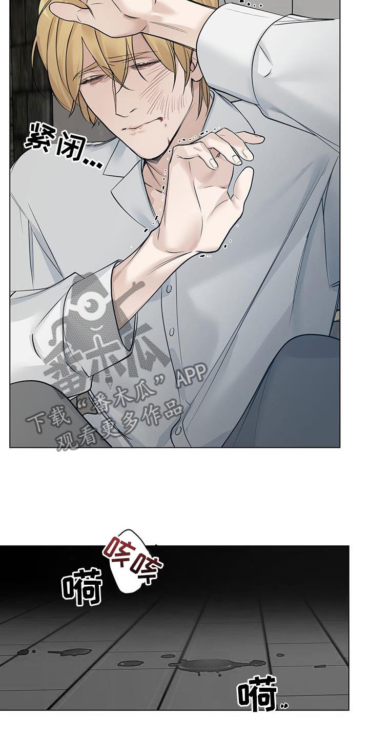 玫瑰庄园户型图漫画,第39章：再怀孕2图