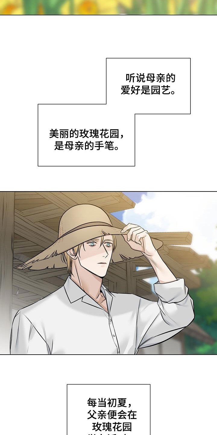 玫瑰庄园户型图漫画,第38章：相见2图