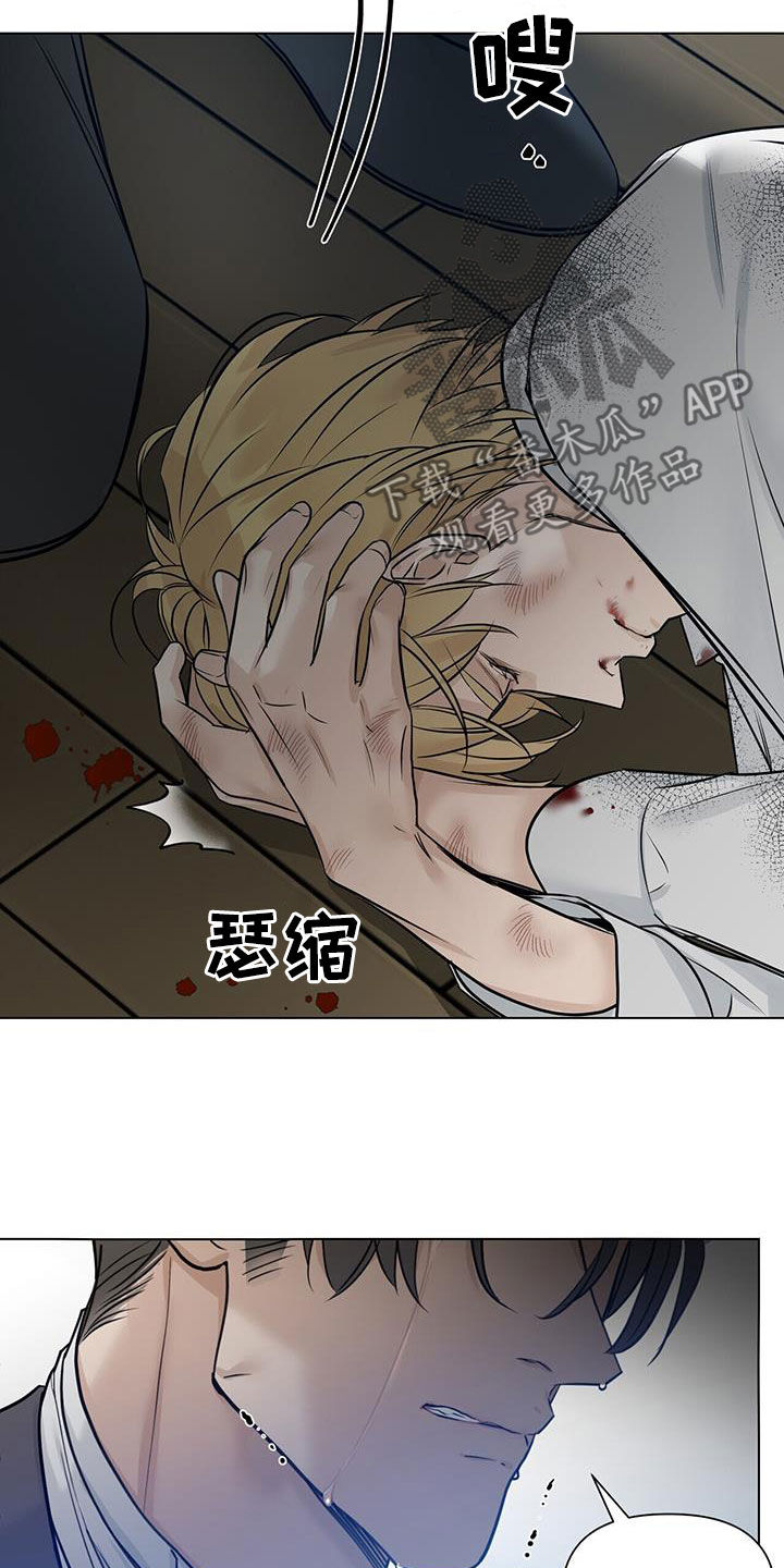 玫瑰庄园户型图漫画,第39章：再怀孕2图