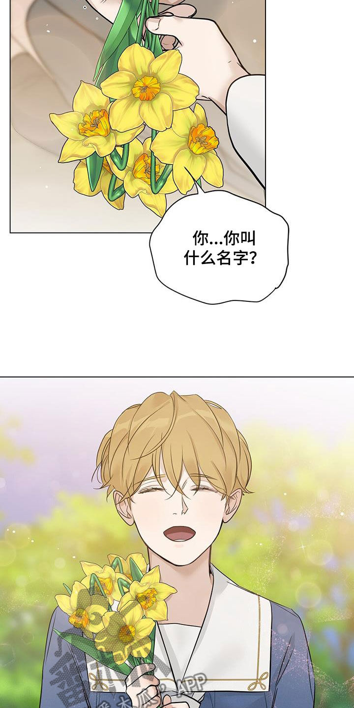 玫瑰庄园户型图漫画,第38章：相见2图