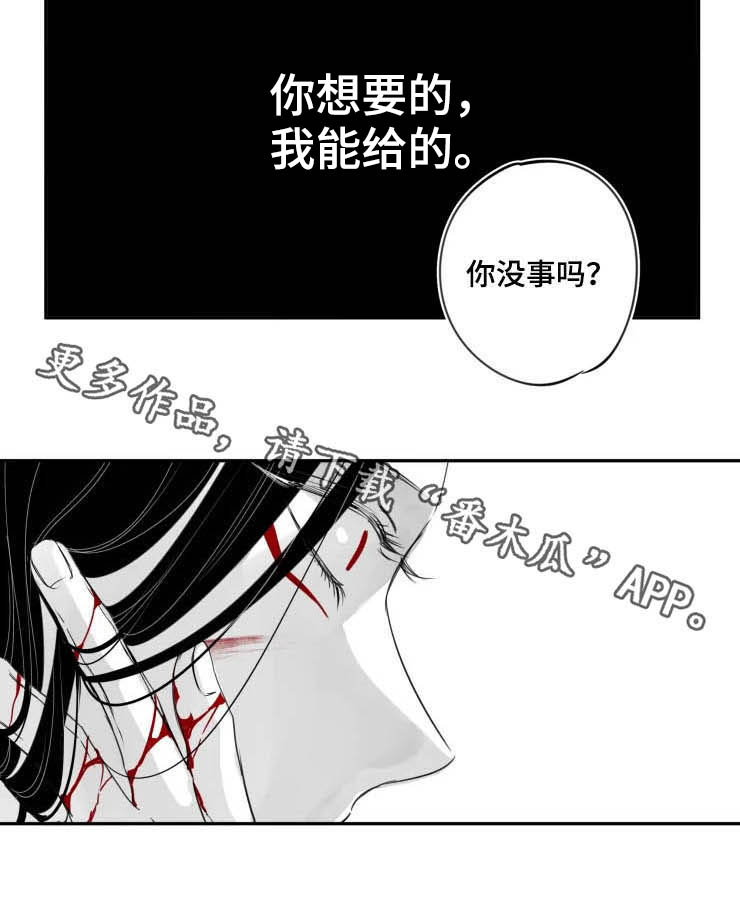 石物语在哪里看漫画,第72章：遗言2图