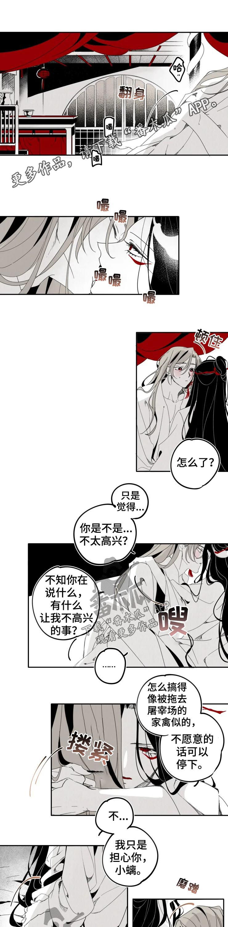 石物语小螭是男的女的漫画,第17章：婚后1图