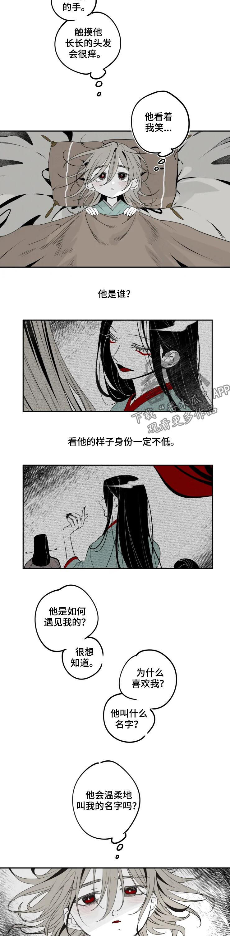 石物语漫画免费阅读漫画,第41章：特别1图