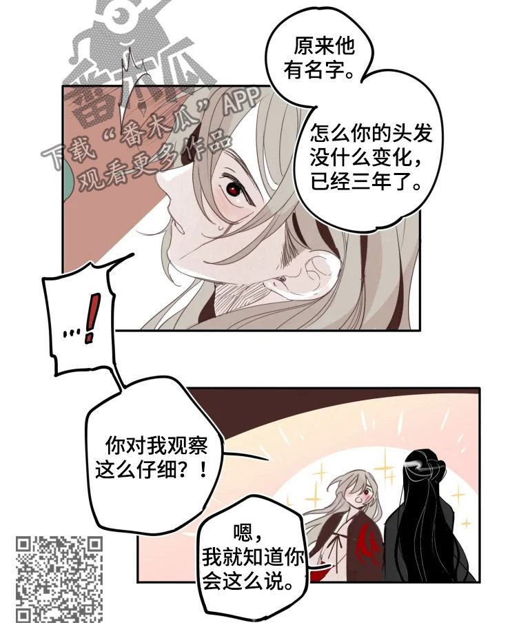 石物语是国漫吗漫画,第31章：打赌2图