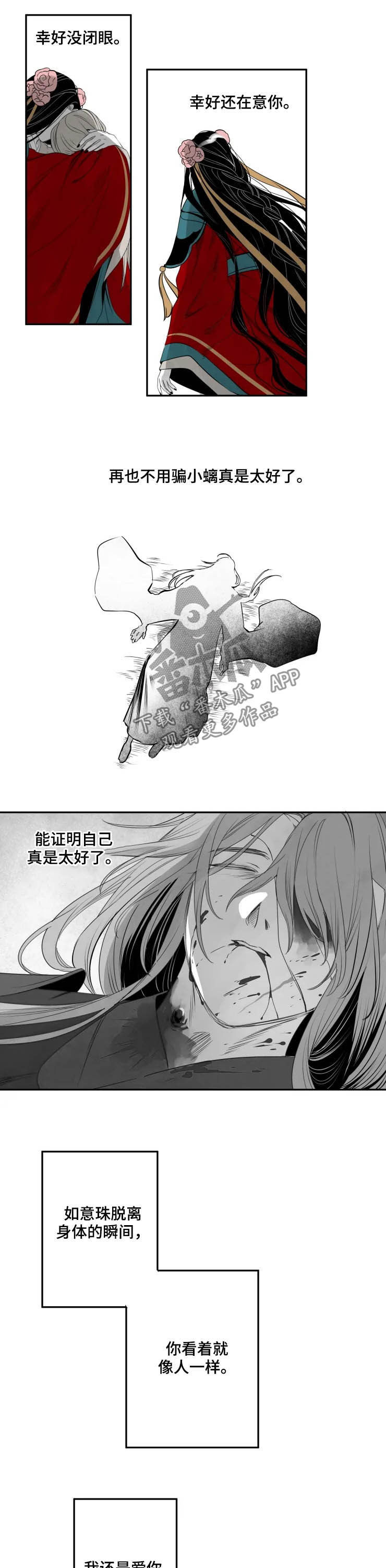 石物语高清图集漫画,第75章：证明2图