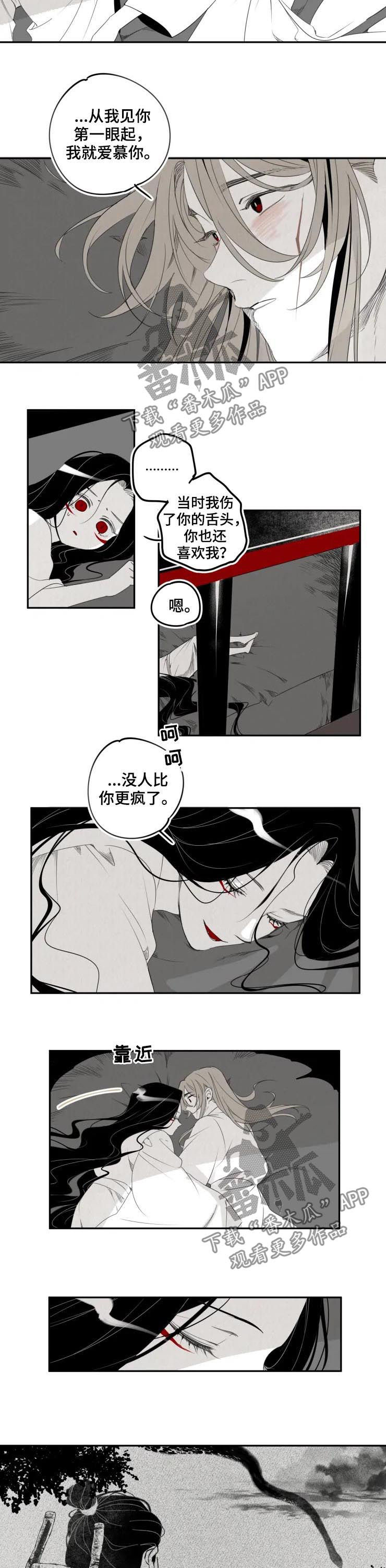 石物语解读漫画,第36章：相爱2图