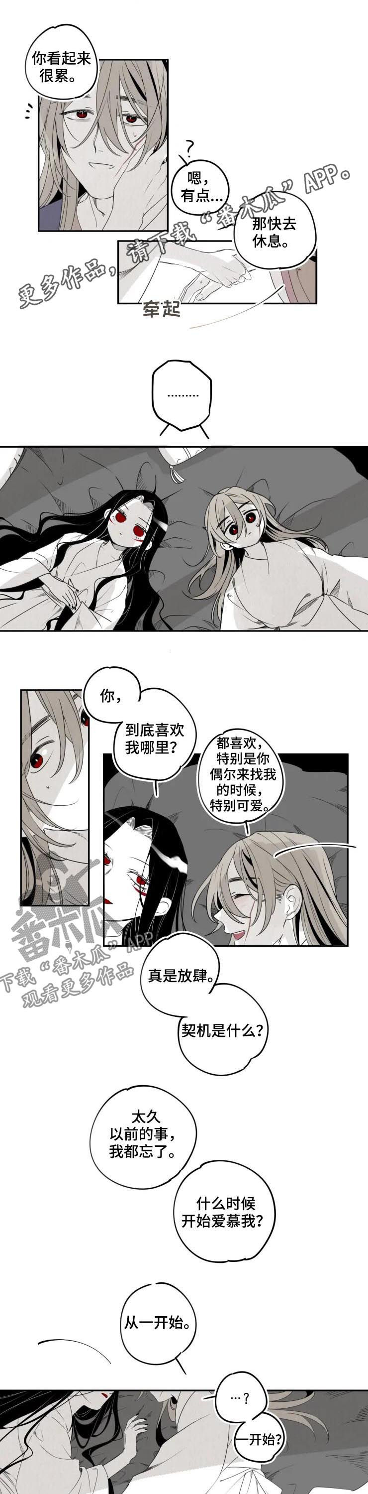 石物语解读漫画,第36章：相爱1图