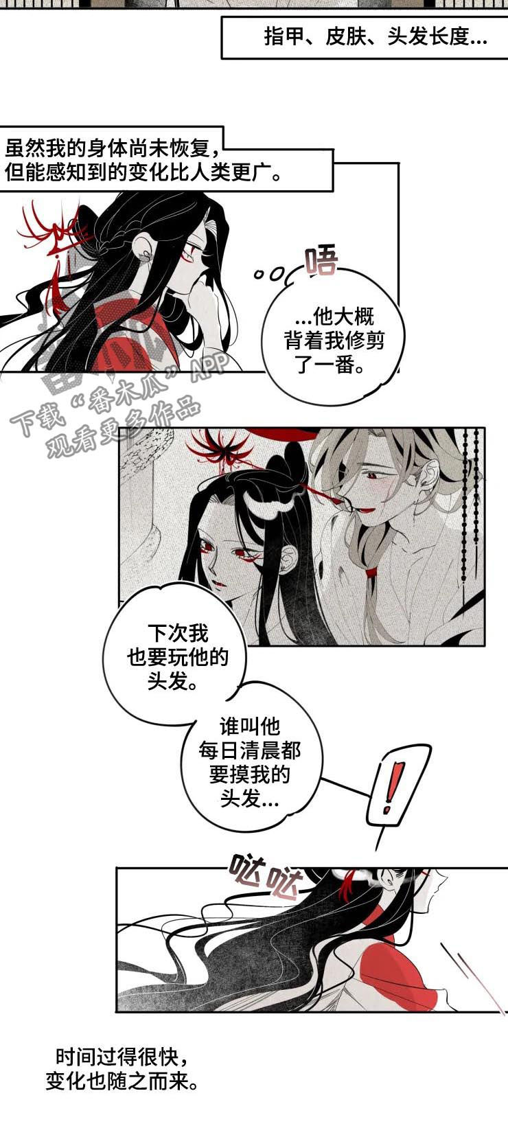 石物语漫画未删减在线阅读漫画,第25章：变化1图