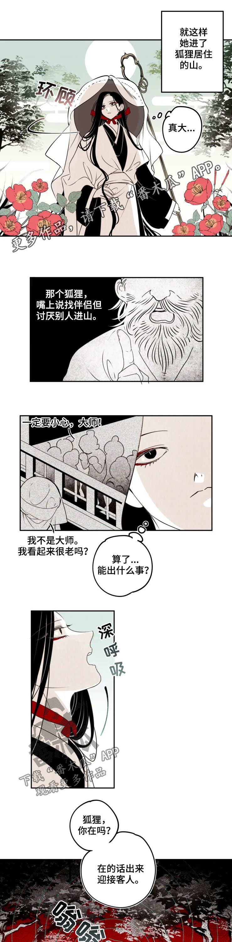 石物语1漫画,第79章：【番外】进山1图