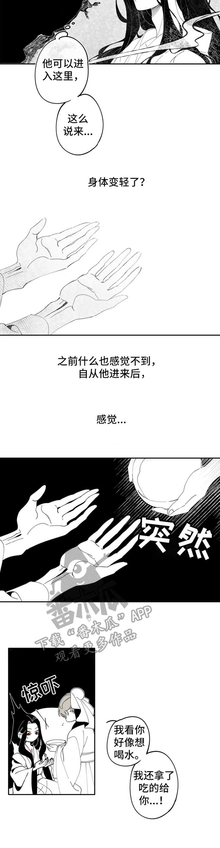 石物语壁纸漫画,第3章：猎物1图