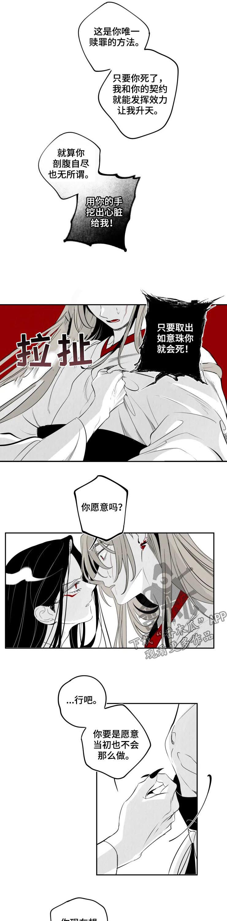 石物语免费观看漫画,第62章：只是恐惧1图