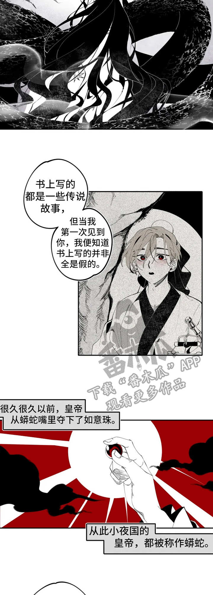 石物语讲的什么漫画,第13章：契约2图