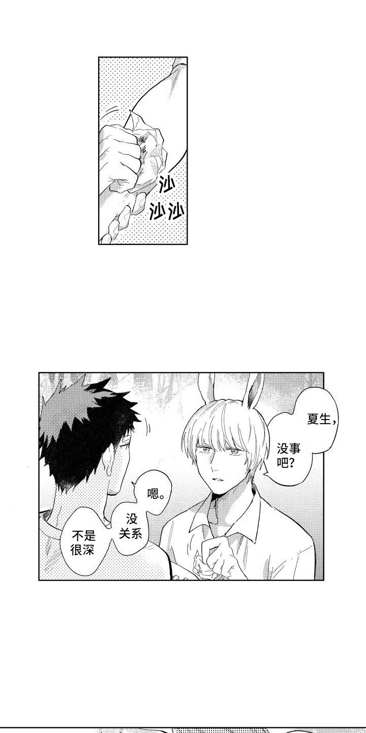 狼先生卷儿哥老婆漫画,第2章：受伤1图