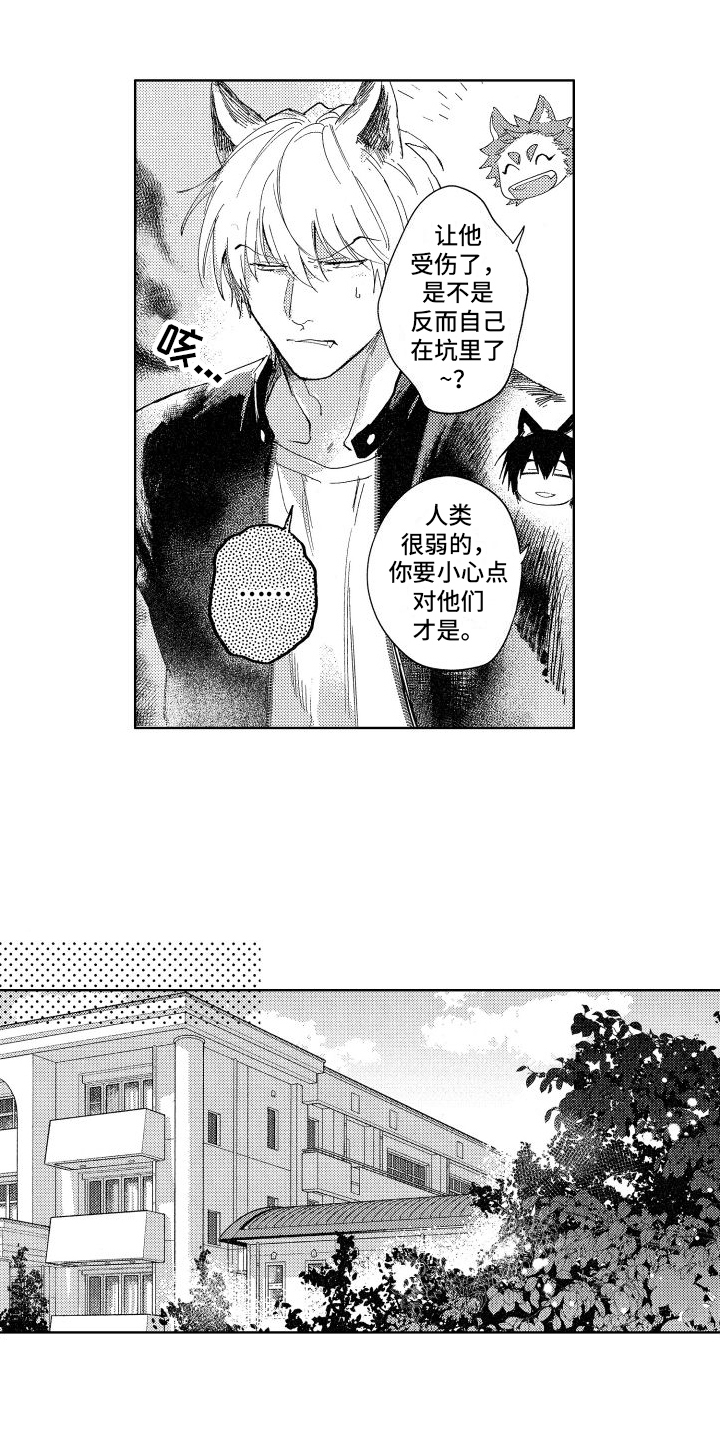 狼先生卷儿哥老婆漫画,第2章：受伤2图