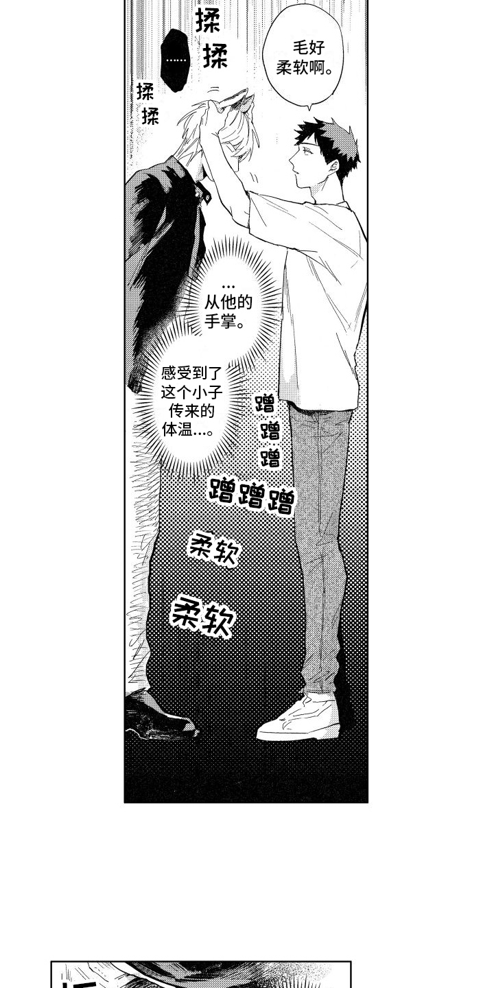 狼先生完整版免费观看漫画,第3章：要求1图